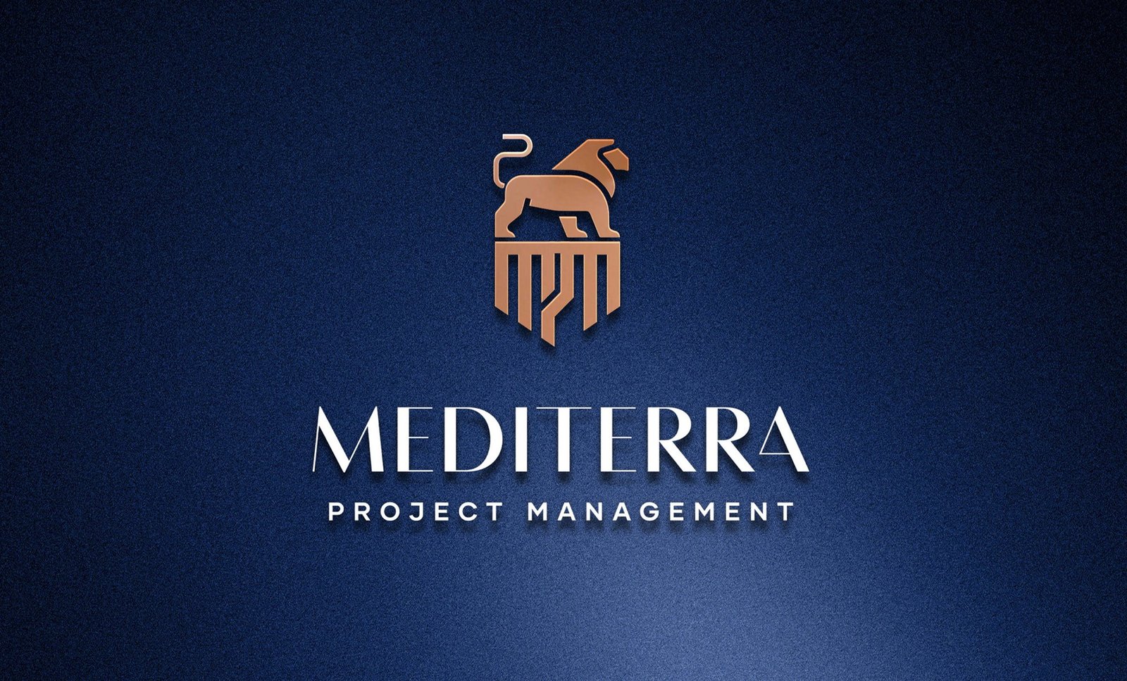 Mediterra Project Management logosu lacivert zeminde